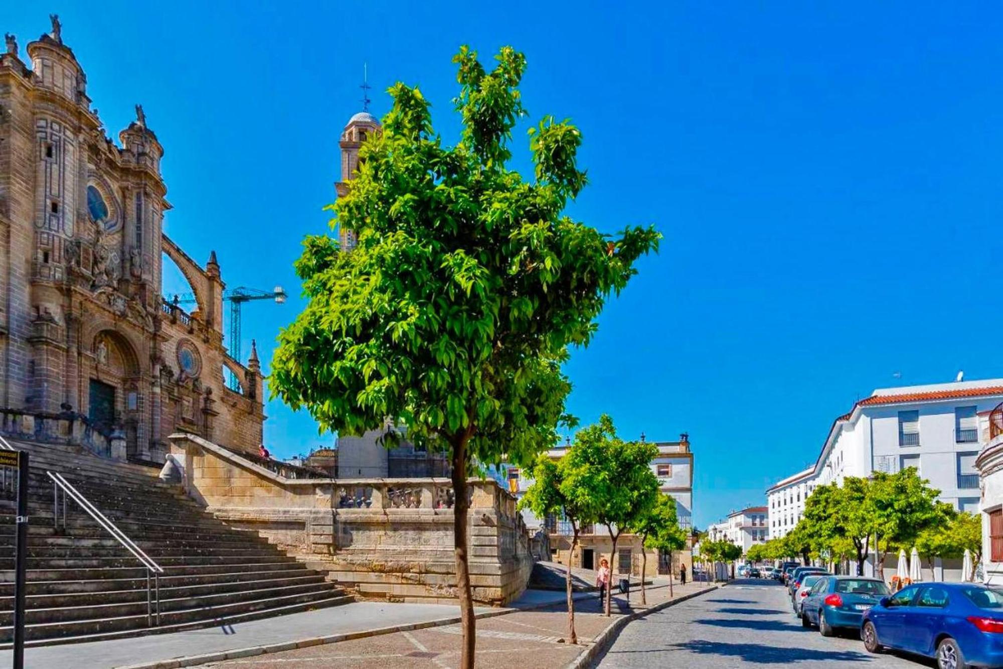 La Torre De La Catedral - Ole Solutions Διαμέρισμα Χέρεζ Εξωτερικό φωτογραφία
